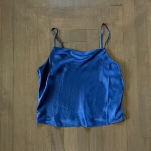 Never wornblue madewell silk